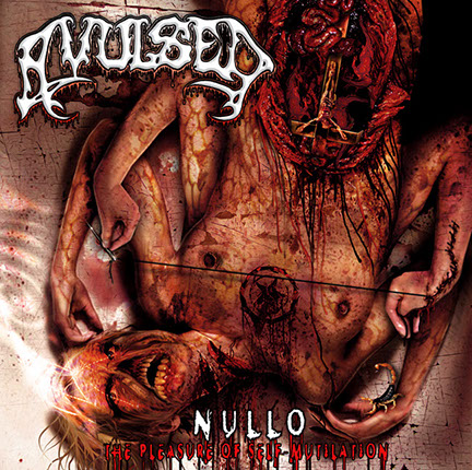 Album Cover Artwork by Mike Hrubovcak / Visualdarkness.com Avulsed - Nullo